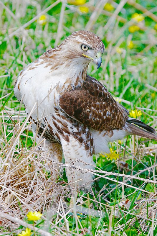  MG 8912 - Version 2 - Version 2